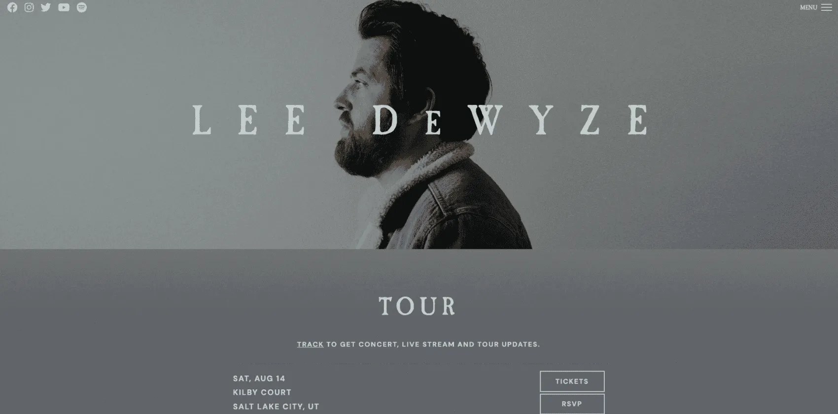 Music Industry Web Design - Lee DeWyze