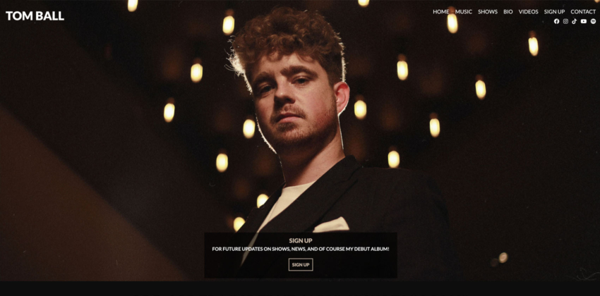 Web Design for Musicians by Electric Kiwi